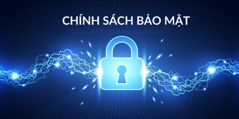 Chính Sách Bảo Mật 8XBET - Chi Tiết Quy Định Mới Năm 2025 2 Thông tin thu thập tại nhà cái theo chính sách bảo mật 8XBET